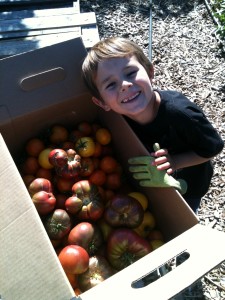 Students learn to grow, tend, harvest and eat fresh produce in School Gardens.