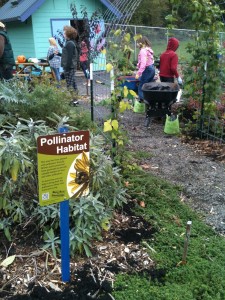 A pollinator habitat sign proudly displayed in the Huntington School Garden