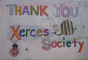 A "Thank You" for Xerces decorated by Carrolls students.